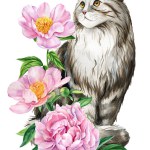 Cute cat with beautiful flowers of peonies and roses isolated background, watercolor Hand drawing, card, poster. High quality illustration
