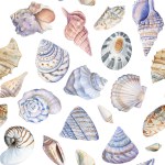 Sea shells. Seamless pattern with seashells. Marine background. Watercolor illustration for wrapping, textile, fabric . High quality illustration