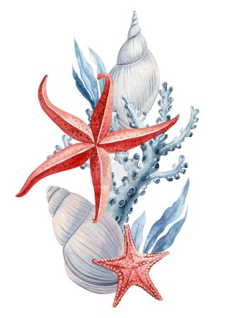 Coquillages, étoiles de mer, algues et coraux isolés. Affiche concept marine. Animaux sous-marins aquarelle peinture. récif corallien clipart. Illustration de haute qualité