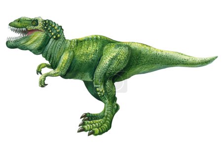 Dinosaur isolated on white background. Hand painted watercolor Green dinosaurs illustration, T-Rex tyrannosaur realistic drawing. High quality illustration