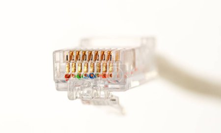 Foto de Conexión de red LAN Ethernet RJ45, primer plano - Imagen libre de derechos