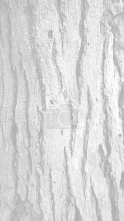 Téléchargez les photos : Vieille texture fissurée en bois, texture d'écorce d'arbre sans couture, fond en bois sans fin pour le remplissage de page Web ou la conception graphique. Concentration sélective. - en image libre de droit