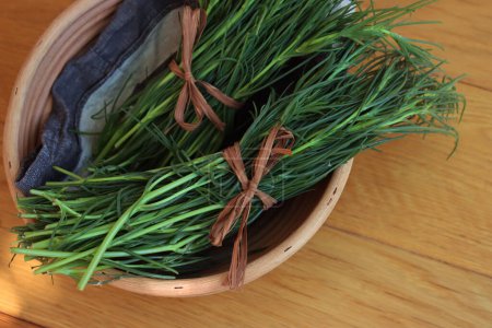 Bunch of fresh Salsola soda in a basket on wooden table. Italian Barba di frate or Agretti or Saltwort on wooden background