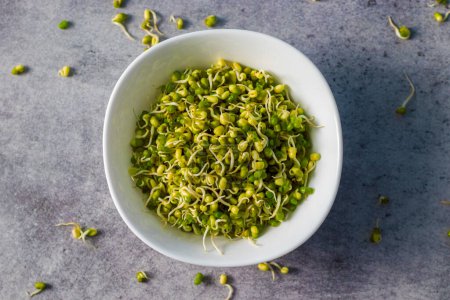 Selective focus of Indian Mung Bean Sprouts