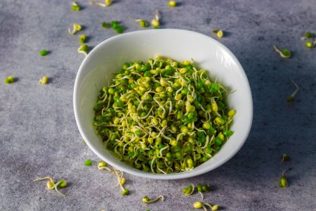 Selective focus of Indian Mung Bean Sprouts