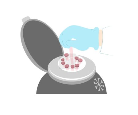 Illustration for Freezing container with biomaterial: sperm, eggs, embryos for in vitro fertilization. Sperm or egg bank image. Vector illustration - Royalty Free Image