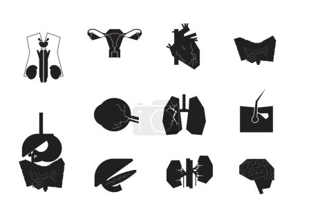 Illustrazione per Human organs black icons with white details. Editable set of stylish medical logos, signs. Vector illustration - Immagini Royalty Free