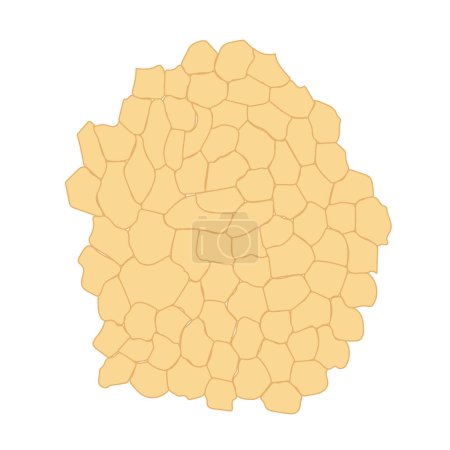 Illustration for Medical background pattern. Fat tissue with yellow cells. . Vector illustration - Royalty Free Image