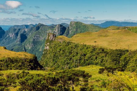 Téléchargez les photos : Incroyable canyon avec rochers, arbres et lumière du soleil à Santa Catarina, Brésil. - en image libre de droit