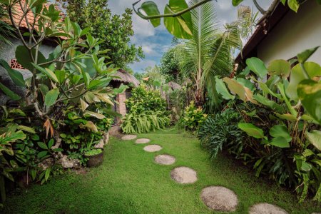 Photo for Landscape design with tropical plants and path, natural landscaping panorama in garden. Beautiful view of nice landscaped garden in residential backyard. - Royalty Free Image