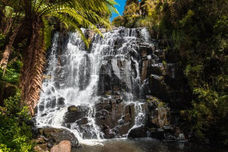 Téléchargez les photos : Cascade avec plantes tropicales dans la forêt tropicale - en image libre de droit
