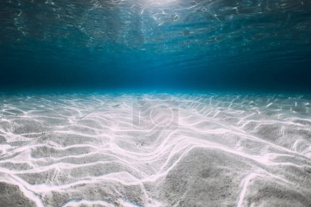 Tropical blue ocean with white sand underwater in Hawaii. Transparent sea water and sandy bottom