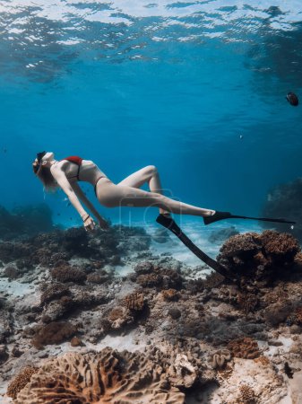 Photo for Young woman in bikini with sexy body posing underwater over corals in transparent blue ocean. Freediving with beautiful girl - Royalty Free Image