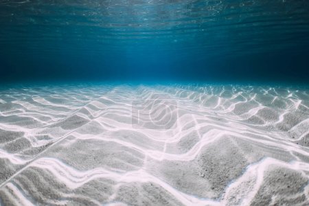 Photo for Underwater blue ocean background with sandy sea bottom - Royalty Free Image