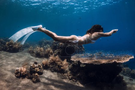 Téléchargez les photos : Sporty woman swimming near big coral. Freediving in transparent ocean - en image libre de droit