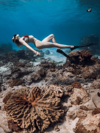 Téléchargez les photos : Femme sexy sportive posant sous l'eau sur des coraux dans un océan bleu transparent. Plongée en apnée avec belle fille en mer tropicale - en image libre de droit