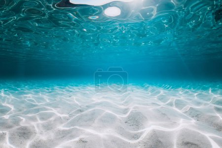 Foto de Turquoise ocean with white sand underwater in Florida. Ocean background - Imagen libre de derechos