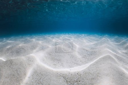 Photo for Tropical blue ocean with white sand underwater in Hawaiian island. Ocean texture background - Royalty Free Image