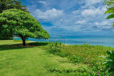 Foto de Costa tropical en la isla de Bali. Costa panorámica con océano azul - Imagen libre de derechos