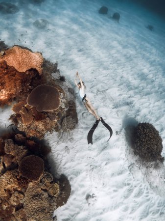Foto de Mujer buzo libre se desliza en la profundidad con aletas cerca de los corales en el mar tropical - Imagen libre de derechos