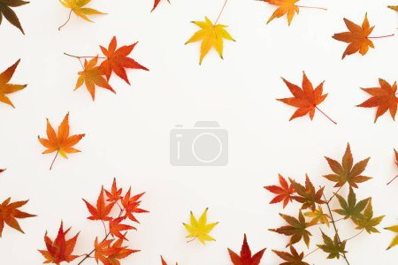 Téléchargez les photos : Concept automnal avec des feuilles d'automne colorées sur fond blanc. Couché à plat, vue de dessus. Thanksgiving concept de jour. - en image libre de droit