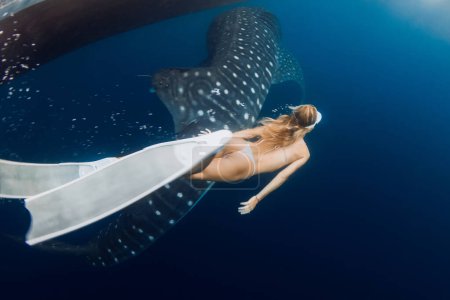 Téléchargez les photos : Jeune femme mince et requin baleine dans l'océan bleu. Silhouette de requin géant sous l'eau et belle dame - en image libre de droit