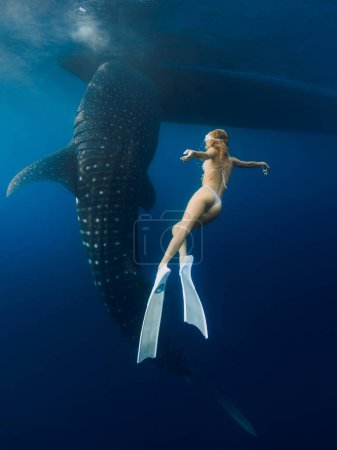 Téléchargez les photos : Requin baleine et jeune femme avec des nageoires dans l'océan bleu. Requin sous l'eau et belle dame sexy - en image libre de droit