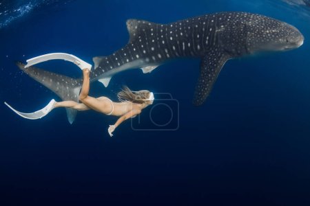 Téléchargez les photos : Requin baleine géante et jeune femme mince dans l'océan bleu. Requin sous l'eau et belle dame - en image libre de droit