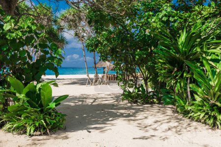 Téléchargez les photos : Plage de luxe avec plantes tropicales, sable et océan calme. Bannière de vacances tropicales - en image libre de droit