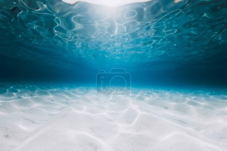 Photo for Tropical blue ocean with sand bottom in Bahamas island. Underwater background - Royalty Free Image