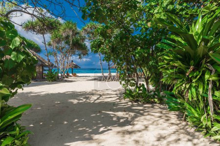 Foto de Playa de lujo con plantas tropicales, arena y océano azul. Banner de vacaciones tropicales - Imagen libre de derechos