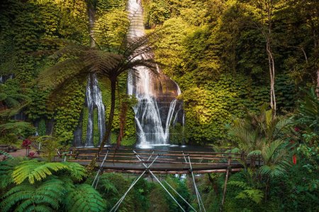 Photo for Waterfall with bridge and exotic plants in tropics. Jungle cascade waterfall in tropical rainforest with warm sun light - Royalty Free Image
