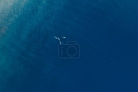 Téléchargez les photos : 21 juin 2022. Dalaman, Turquie. Vue aérienne du groupe de voyageurs sur planche à pagaie debout à la mer bleue. - en image libre de droit