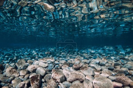 Téléchargez les photos : Océan sous-marin avec fond de pierres et réflexion à la surface. - en image libre de droit
