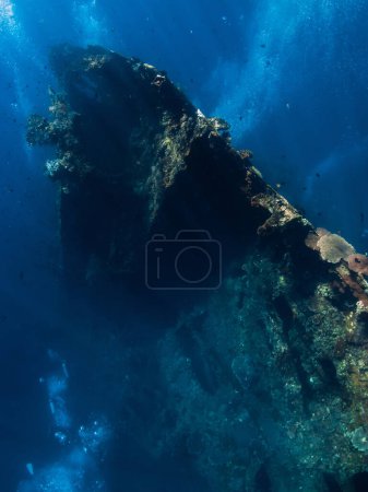 Photo for Diving at USAT Liberty Wreck in Tulamben, Bali. Freediving in deep sea - Royalty Free Image