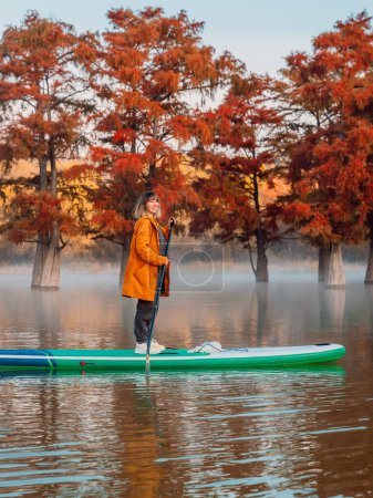 Téléchargez les photos : Femme voyageant sur le stand up paddle board à la rivière entre les arbres des marais - en image libre de droit