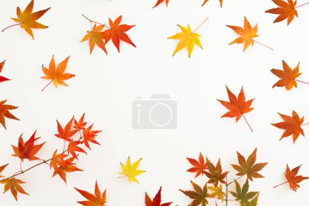 Téléchargez les photos : Concept automnal avec des feuilles d'automne colorées sur fond blanc. Pose plate. Thanksgiving concept de jour. - en image libre de droit