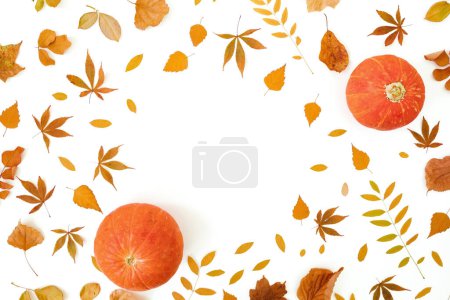 Photo for Autumnal composition with orange leaves and pumpkins on white background. Thanksgiving day concept. Flat lay, top view - Royalty Free Image