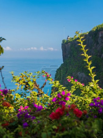 Foto de Escénico acantilado rocoso y océano con flores en Uluwatu, Bali. Lugar turístico popular con templo balinés - Imagen libre de derechos