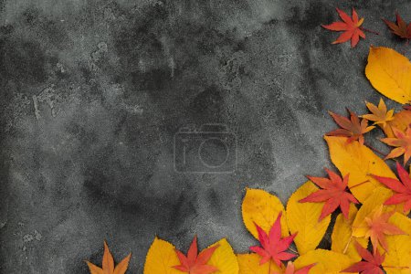 Foto de Concepto del día de Acción de Gracias. Caída de hojas brillantes sobre fondo oscuro. Piso tendido, vista superior - Imagen libre de derechos