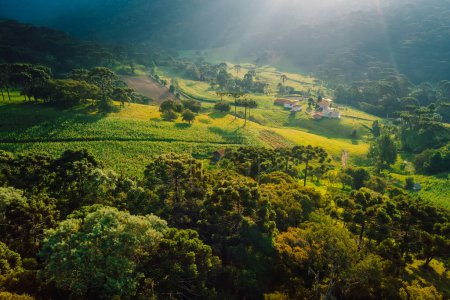Téléchargez les photos : Vue aérienne d'une zone rurale avec araucaria et soleil à Urubici, Santa Catarina, Brésil - en image libre de droit