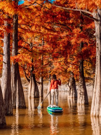 Téléchargez les photos : Stand up paddle board concept - Planche à pagaie femme sur un joli lac avec des arbres dans la lumière chaude de fin de matinée - en image libre de droit