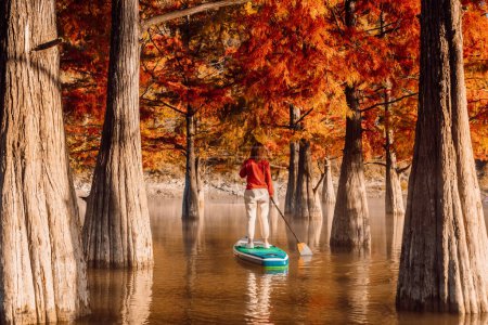 Téléchargez les photos : Stand up paddle board concept - Planche à pagaie femme sur un joli lac avec des arbres d'automne dans la lumière chaude de fin de matinée - en image libre de droit