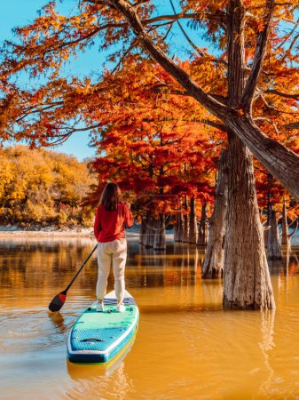Téléchargez les photos : Concept de planche SUP - Planche à pagaie femme sur un joli lac avec des arbres dans la lumière chaude de la fin de matinée - en image libre de droit