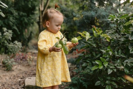 Foto de Retrato de niña hermosa con fruta de manzana al aire libre. Linda niña en vestido elegante en el jardín del patio trasero. - Imagen libre de derechos