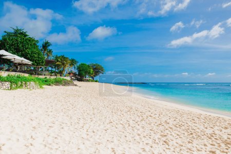 Foto de Playa tropical de lujo. Costa panorámica con palmeras de coco en isla tropical. - Imagen libre de derechos