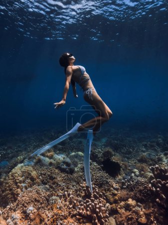 Téléchargez les photos : Femme plongeuse avec ailettes glisse sur les coraux. Plongée libre dans l'océan bleu tropical - en image libre de droit