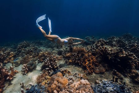 Foto de Mujer bucea cerca de coloridos corales en un mar tropical - Imagen libre de derechos