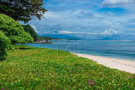 Foto de Playa de lujo tropical con césped y océano azul en Bali. - Imagen libre de derechos