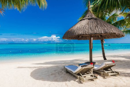 Téléchargez les photos : Chaises et parasol à la plage de palmiers de luxe. Bannière de vacances tropicales avec océan - en image libre de droit